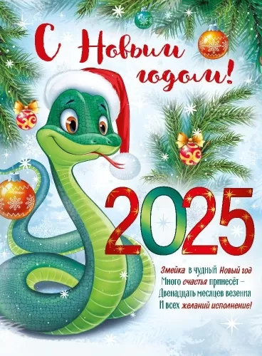 Поздравление с Новым 2025 годом!